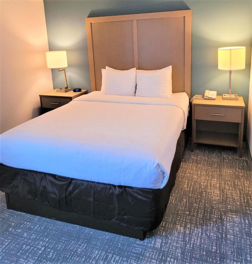 Comfort Inn & Suites Alexandria West Eksteriør billede