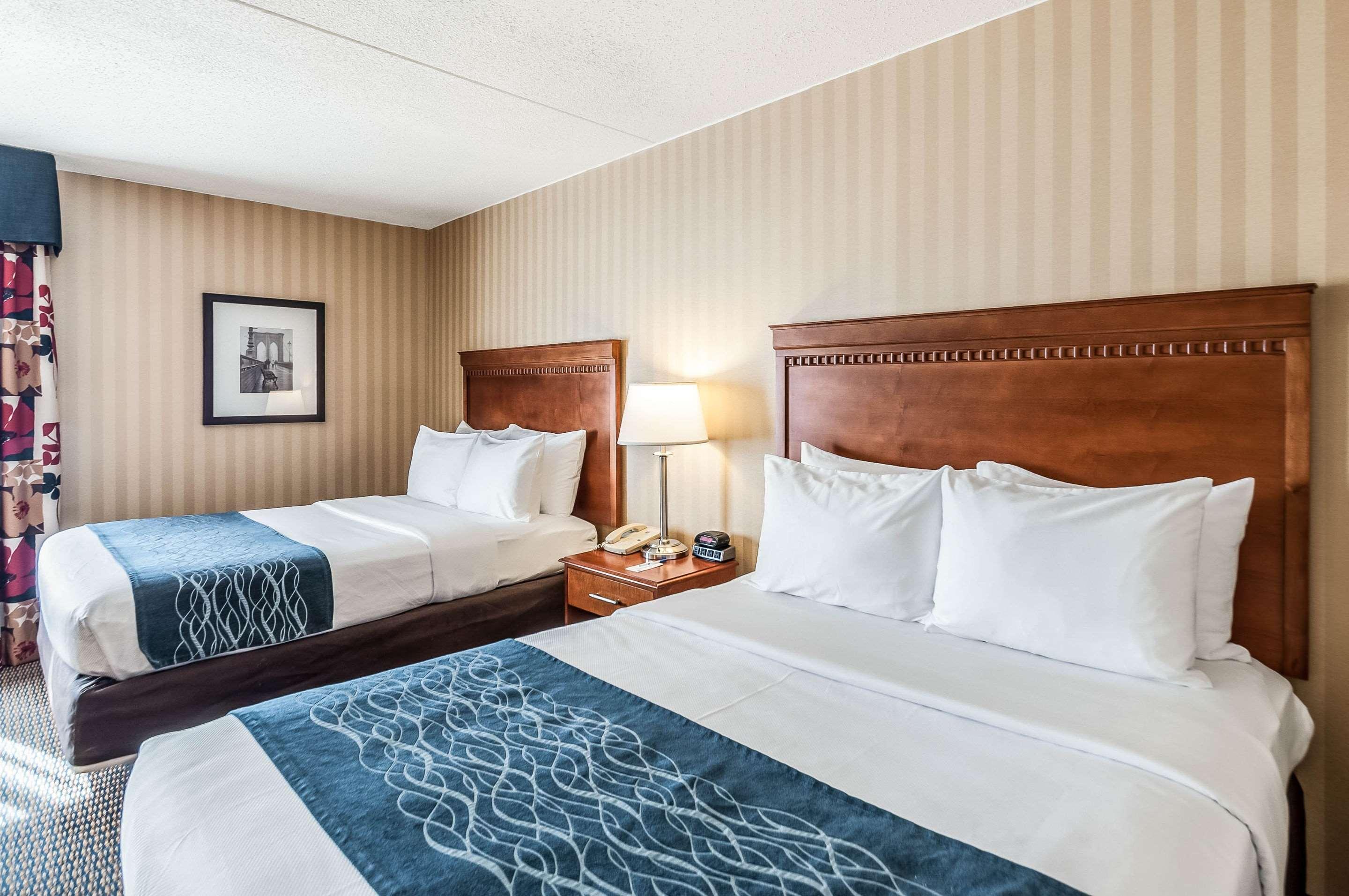 Comfort Inn & Suites Alexandria West Eksteriør billede